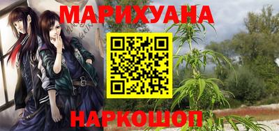 крисы Будённовск